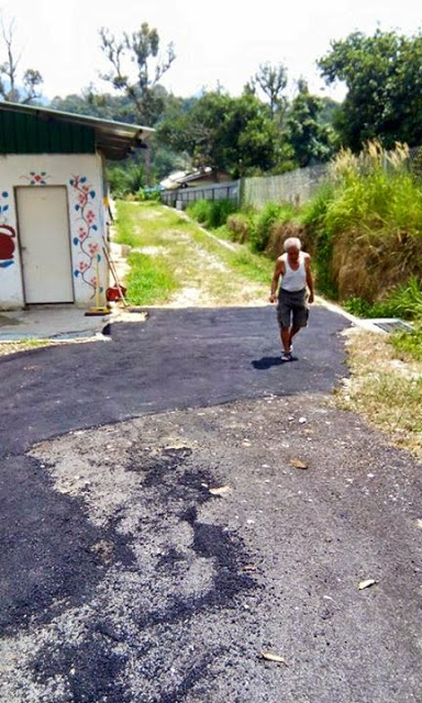 Midnight 4 2nd chance animal society