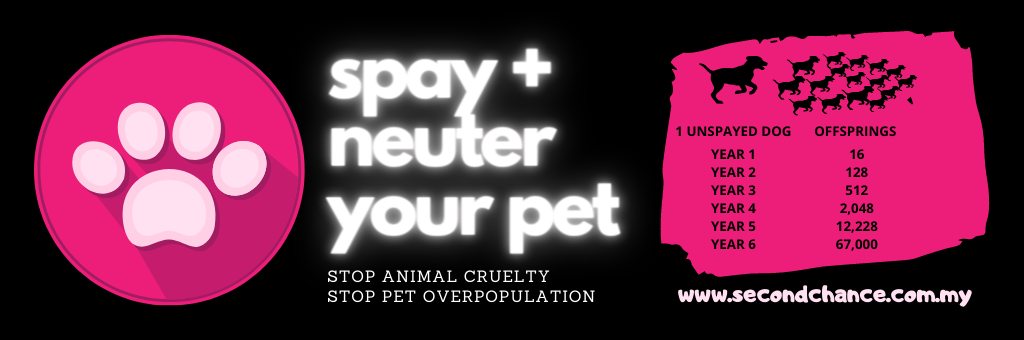 SCAS Spay & Neuter PSA