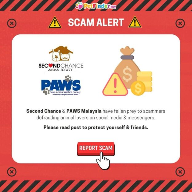 SCAMMER ALERT – SecondChance